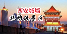 我要看欧美小逼中国陕西-西安城墙旅游风景区