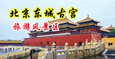 插女人骚视频中国北京-东城古宫旅游风景区